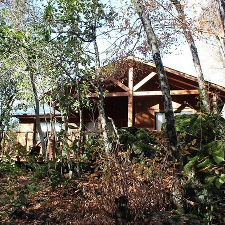 Cabana Bosque Viejo Villa Las Trancas Esterno foto