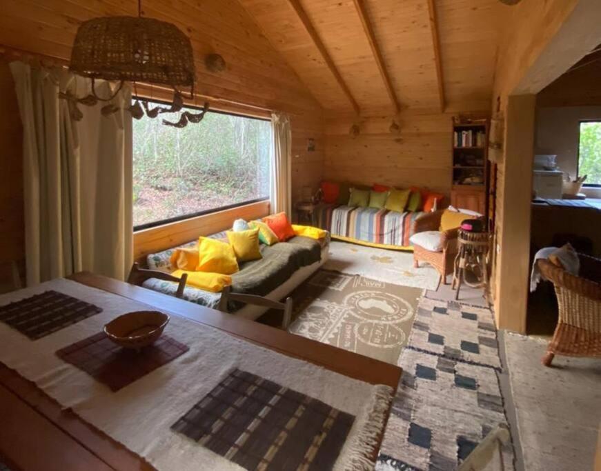 Cabana Bosque Viejo Villa Las Trancas Esterno foto