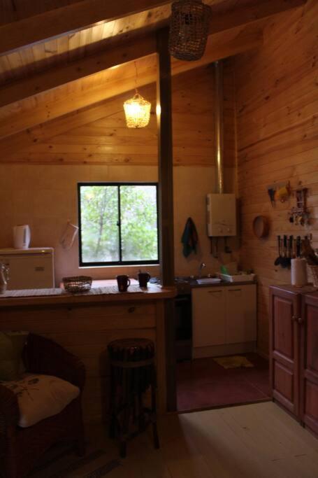 Cabana Bosque Viejo Villa Las Trancas Esterno foto