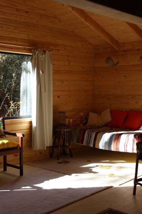 Cabana Bosque Viejo Villa Las Trancas Esterno foto