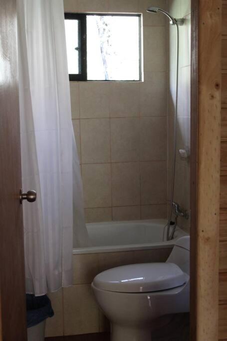Cabana Bosque Viejo Villa Las Trancas Esterno foto