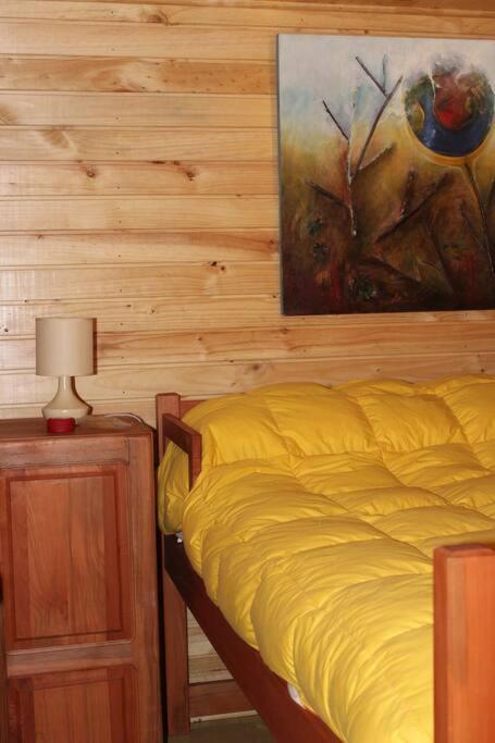 Cabana Bosque Viejo Villa Las Trancas Esterno foto