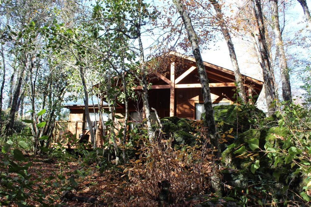 Cabana Bosque Viejo Villa Las Trancas Esterno foto