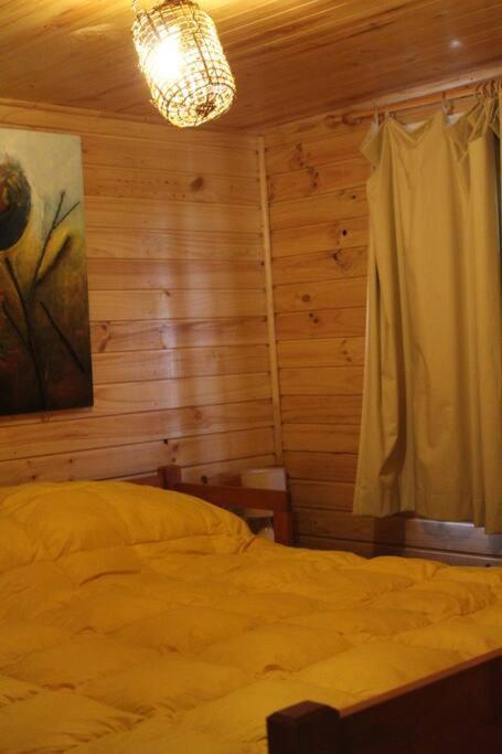 Cabana Bosque Viejo Villa Las Trancas Esterno foto